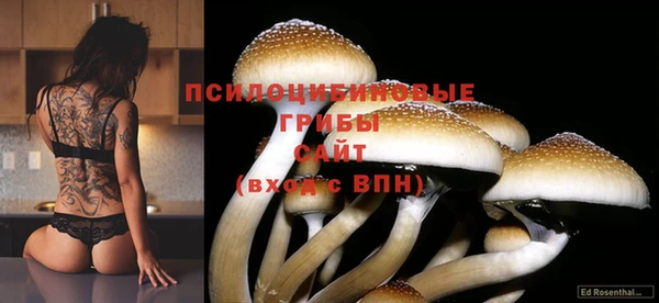экстази Володарск
