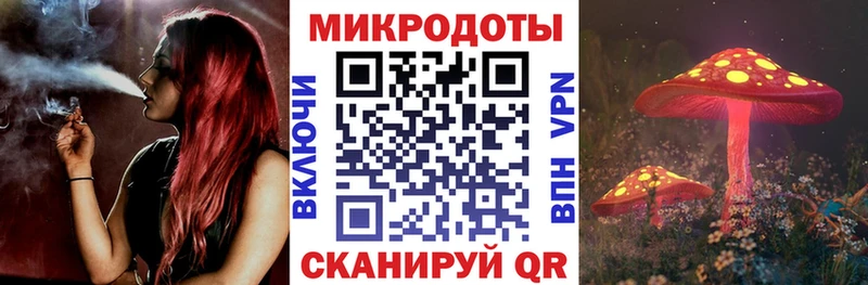 Галлюциногенные грибы Magic Shrooms  где купить   Элиста 